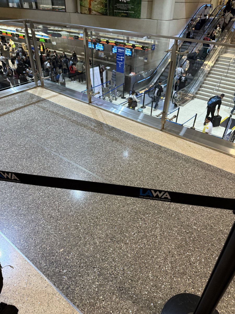 Chiken (@chikenqwq) on Twitter photo 