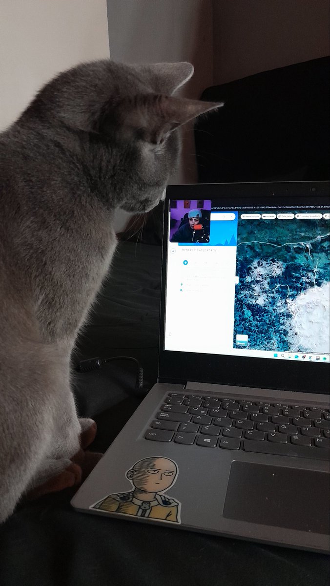 hasta mi gato quedo enganchado escuchando la anécdota de carre