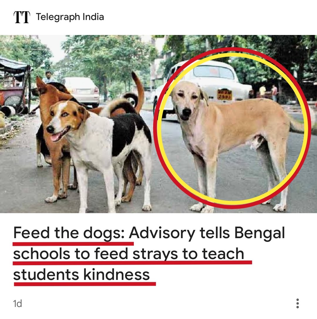 Ajay Joe (@joedelhi) on Twitter photo Co-Exist!
PBSSM in West Bengal, India has issued an advisory directing government-run and aided schools across West Bengal to feed stray dogs outside the school premises
<a href="/gupta_rekha/">Rekha Gupta</a> do this for Delhi!
Why this is important? Read
It is a part of a sensitisation initiative Co-Exist!
PBSSM in West Bengal, India has issued an advisory directing government-run and aided schools across West Bengal to feed stray dogs outside the school premises
<a href="/gupta_rekha/">Rekha Gupta</a> do this for Delhi!
Why this is important? Read
It is a part of a sensitisation initiative