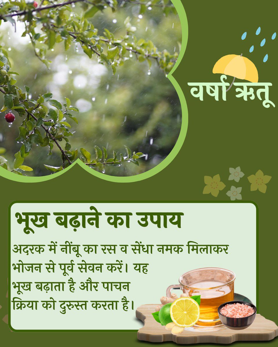 युवा सेवा संघ पुणे (@ysspuneofficial) on Twitter photo <a href="/YssSpeaks/">Young India Speaks</a> #SwasthyaSuraksha - 🌧️ Varsha Ritu 🌿 इस ऋतु में पाचनशक्ति मंद होती है और वात का प्रकोप बढ़ता है। Ayurvedic Remedies यह है कि
📿 उपवास और लघु आहार अपनाएँ
🍲 सुपाच्य, हल्के एवं वातशामक आहार लें
🧘 Sant Shri Asharamji Bapu की आयुर्वेदिक दिनचर्या अपनाएँ! <a href="/YssSpeaks/">Young India Speaks</a> #SwasthyaSuraksha - 🌧️ Varsha Ritu 🌿 इस ऋतु में पाचनशक्ति मंद होती है और वात का प्रकोप बढ़ता है। Ayurvedic Remedies यह है कि
📿 उपवास और लघु आहार अपनाएँ
🍲 सुपाच्य, हल्के एवं वातशामक आहार लें
🧘 Sant Shri Asharamji Bapu की आयुर्वेदिक दिनचर्या अपनाएँ!