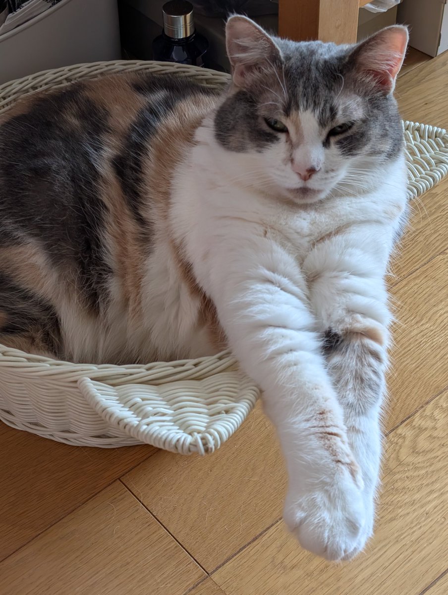 とおる (@jvs4cfuy4z54552) on Twitter photo 