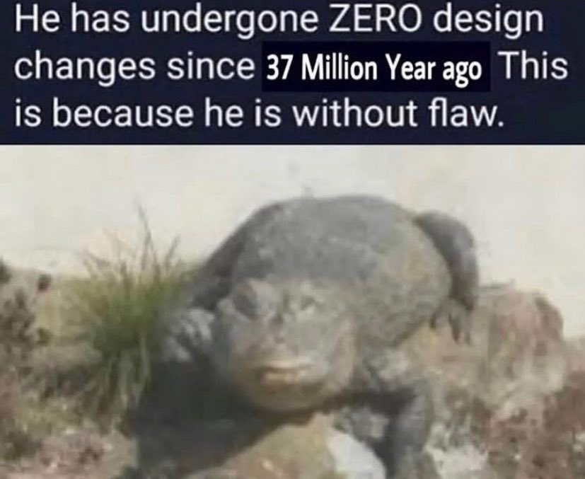 <a href="/Thinkwert/">Thinkwert</a> The perfect specimen