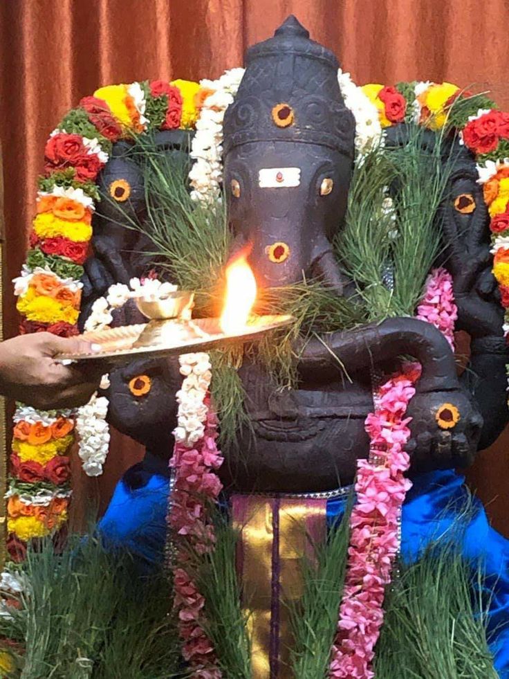 🌺🙏विघ्नहरता गणेश जी को प्रणाम🙏🌺
