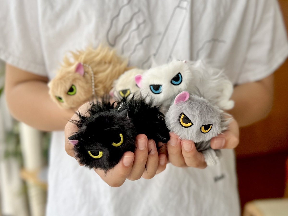 カプセルトイ「なつかない猫ぬいぐるみ」 本日からQualia様より 発売