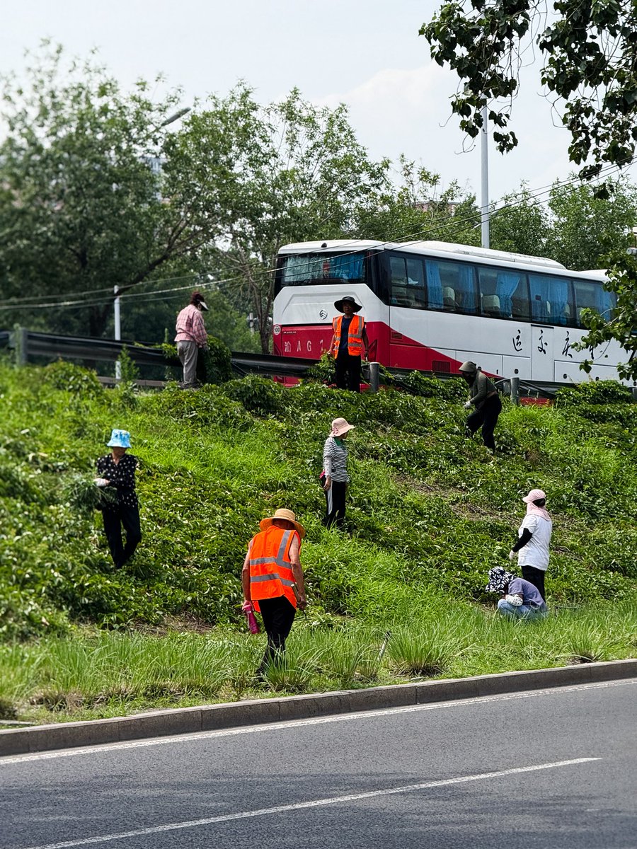 北京今天热的让人发冷……