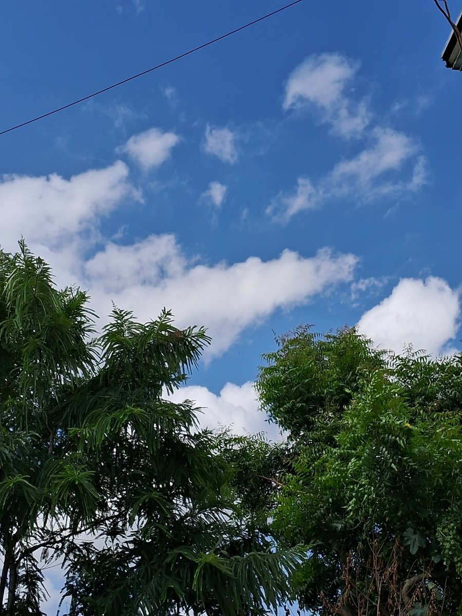 Clouds⛅️