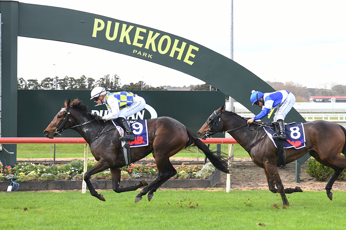 Auckland Thoroughbred Racing (@ellerslie_races) on Twitter photo Apprentice Ashlee Strawbridge aboard Graces Gift easily takes out the Auckland Co-Op Taxis 1400 Apprentice Ashlee Strawbridge aboard Graces Gift easily takes out the Auckland Co-Op Taxis 1400