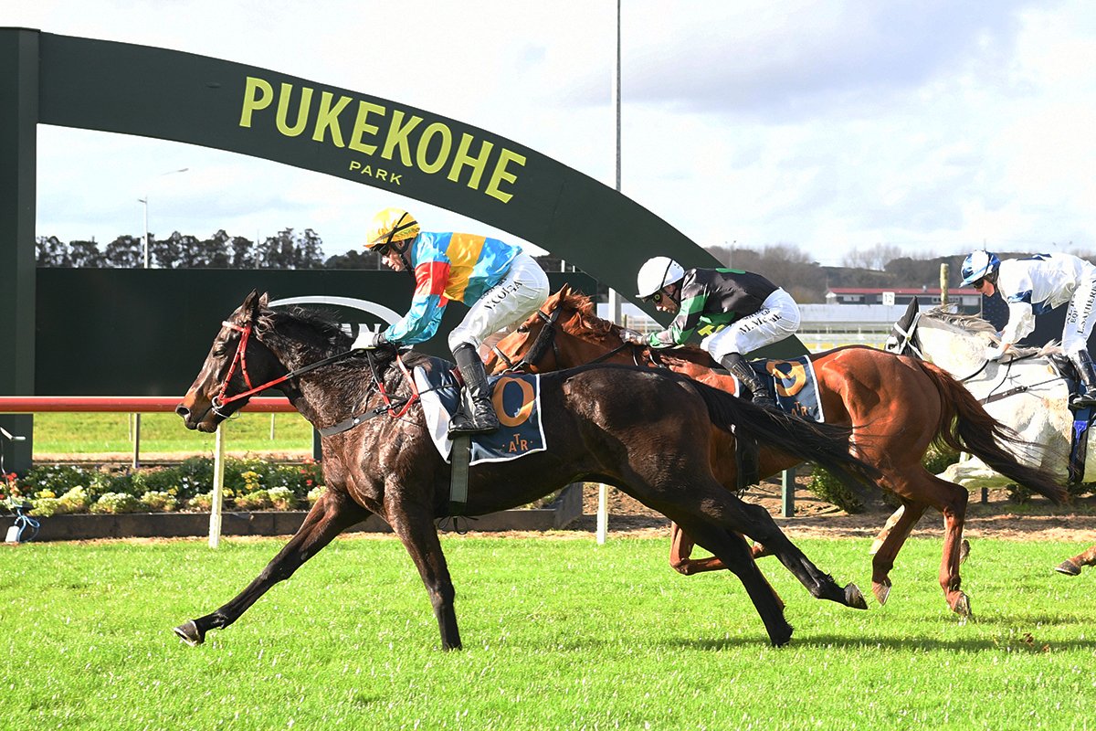Auckland Thoroughbred Racing (@ellerslie_races) on Twitter photo Les Collins trained Marriage Vows with Vinnie Colgan in the saddle takes out the Network Visuals 1500 Les Collins trained Marriage Vows with Vinnie Colgan in the saddle takes out the Network Visuals 1500