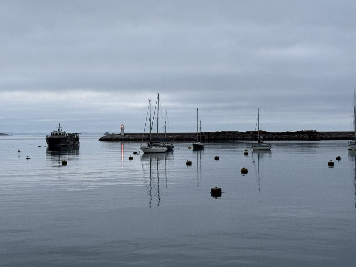ostizeuropean's tweet image. Wednesday morning harbour walk. First light and still waters.