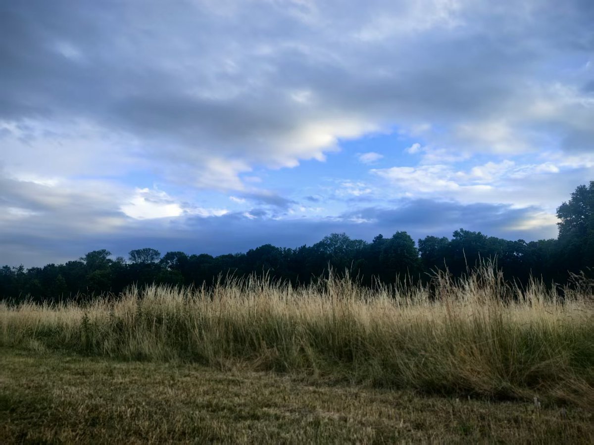 Yang’s View是老杨说 (@georgeyang2084) on Twitter photo 