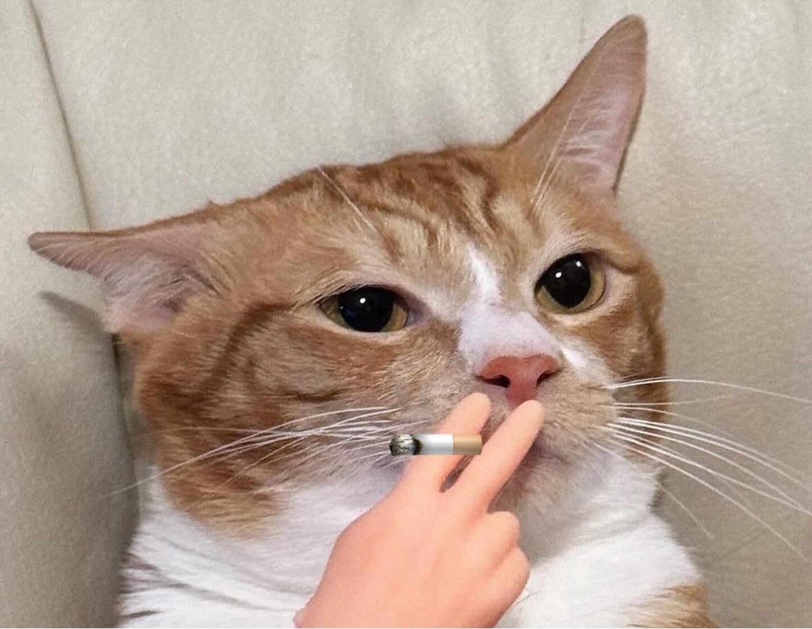 нуль (0, zero) годин сну