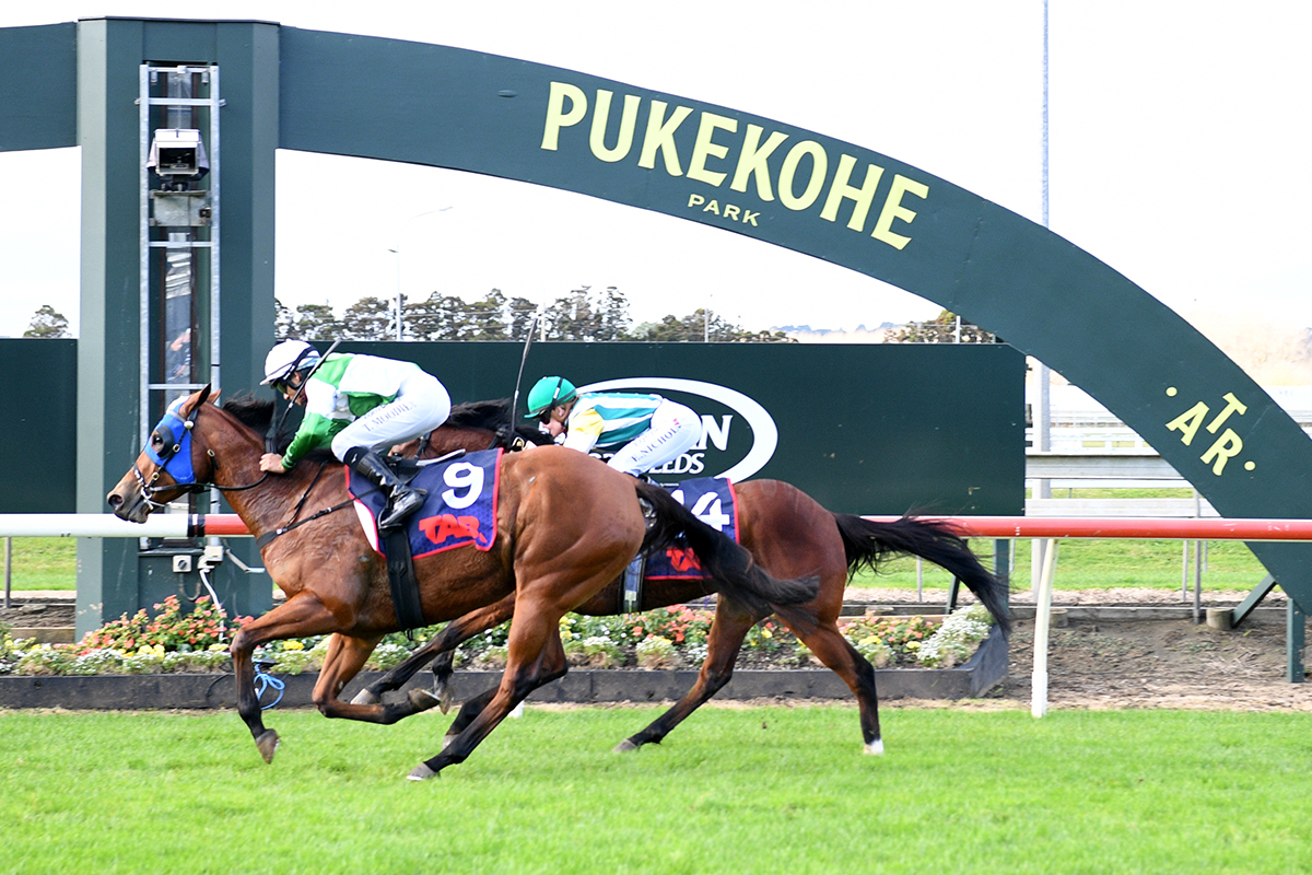 Auckland Thoroughbred Racing (@ellerslie_races) on Twitter photo A treble for rider Triston Moodley and a double for trainer Barbara Kennedy. 
Highly Anticipated winning the Trackside.co.nz 1400. A treble for rider Triston Moodley and a double for trainer Barbara Kennedy. 
Highly Anticipated winning the Trackside.co.nz 1400.