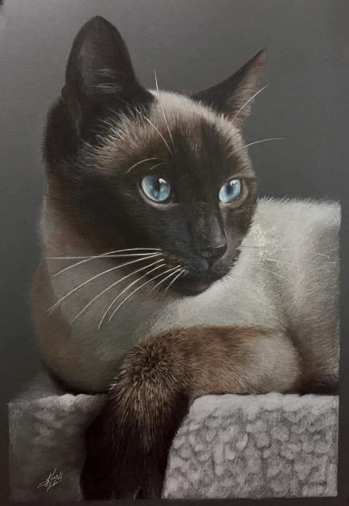 Evgeniy Karpenko 
"Siamese Cat"