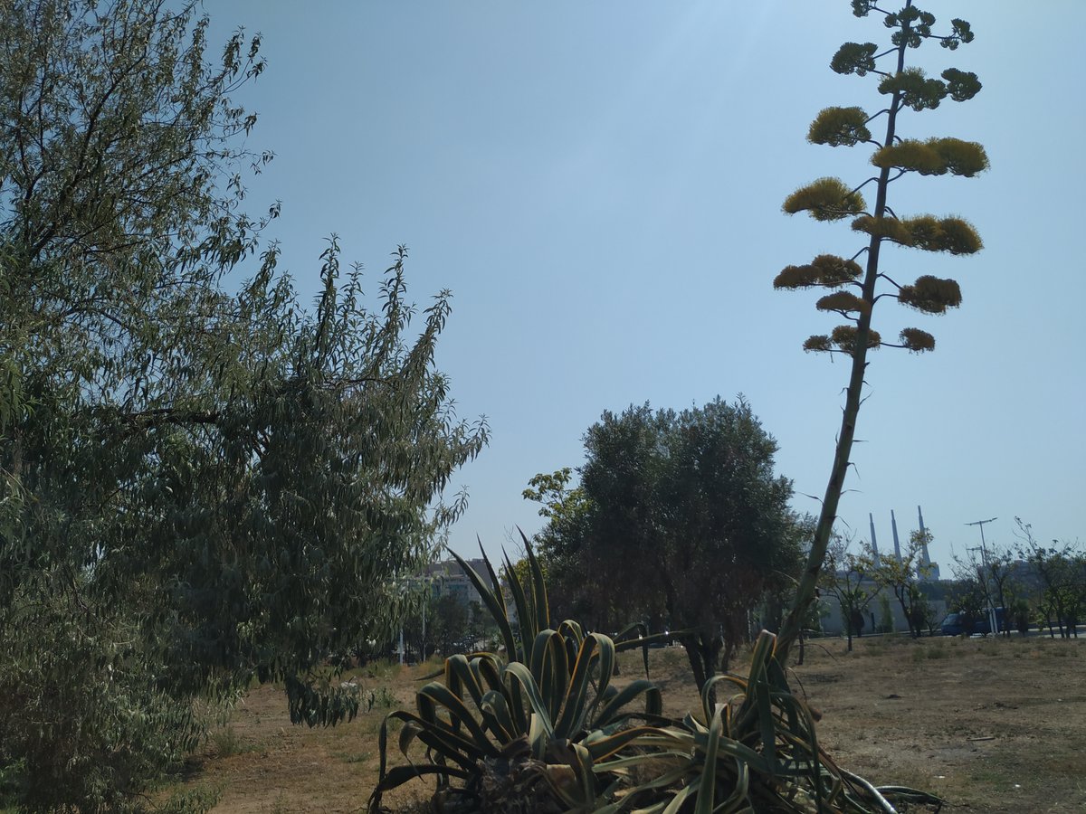 DavidC_G_'s tweet photo. 🧭 Condueix en @DavidC_G_  (Blauverd urbà).
👁️ Verd i blau urbà, aplicant una visió inclusiva, ecològica i socioeconòmica intel·ligent, són part de les solucions als reptes a ciutat.
🎫 Cal inscripció prèvia! (a https://t.co/IGwad2ev4J) https://t.co/ZW2k57Ud8M