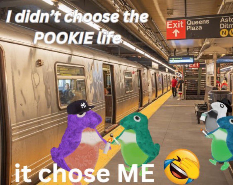 POOKIE (@pookiethepeng) on Twitter photo 