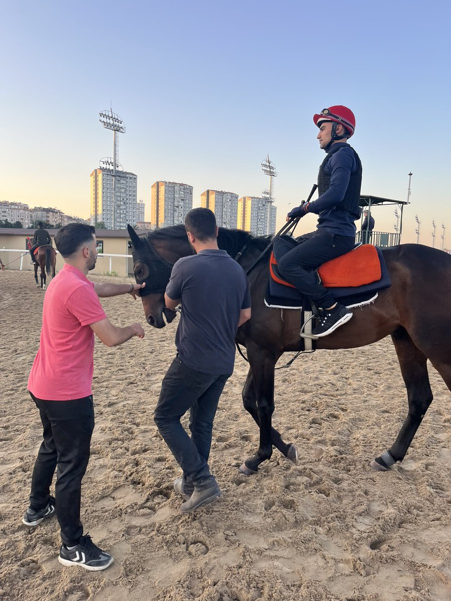 Burak Averbak (@baverbakk) on Twitter photo Jokeyimiz Ercan Çankaya, Gazi Koşusu’nda birlikte mücadele vereceği HOPEBREEZE ile idmanda buluştu.🏆
<a href="/Ercancankaya06/">Ercan çankaya</a>
<a href="/akturkferhatt/">Ferhat AKTÜRK</a> Jokeyimiz Ercan Çankaya, Gazi Koşusu’nda birlikte mücadele vereceği HOPEBREEZE ile idmanda buluştu.🏆
<a href="/Ercancankaya06/">Ercan çankaya</a>
<a href="/akturkferhatt/">Ferhat AKTÜRK</a>