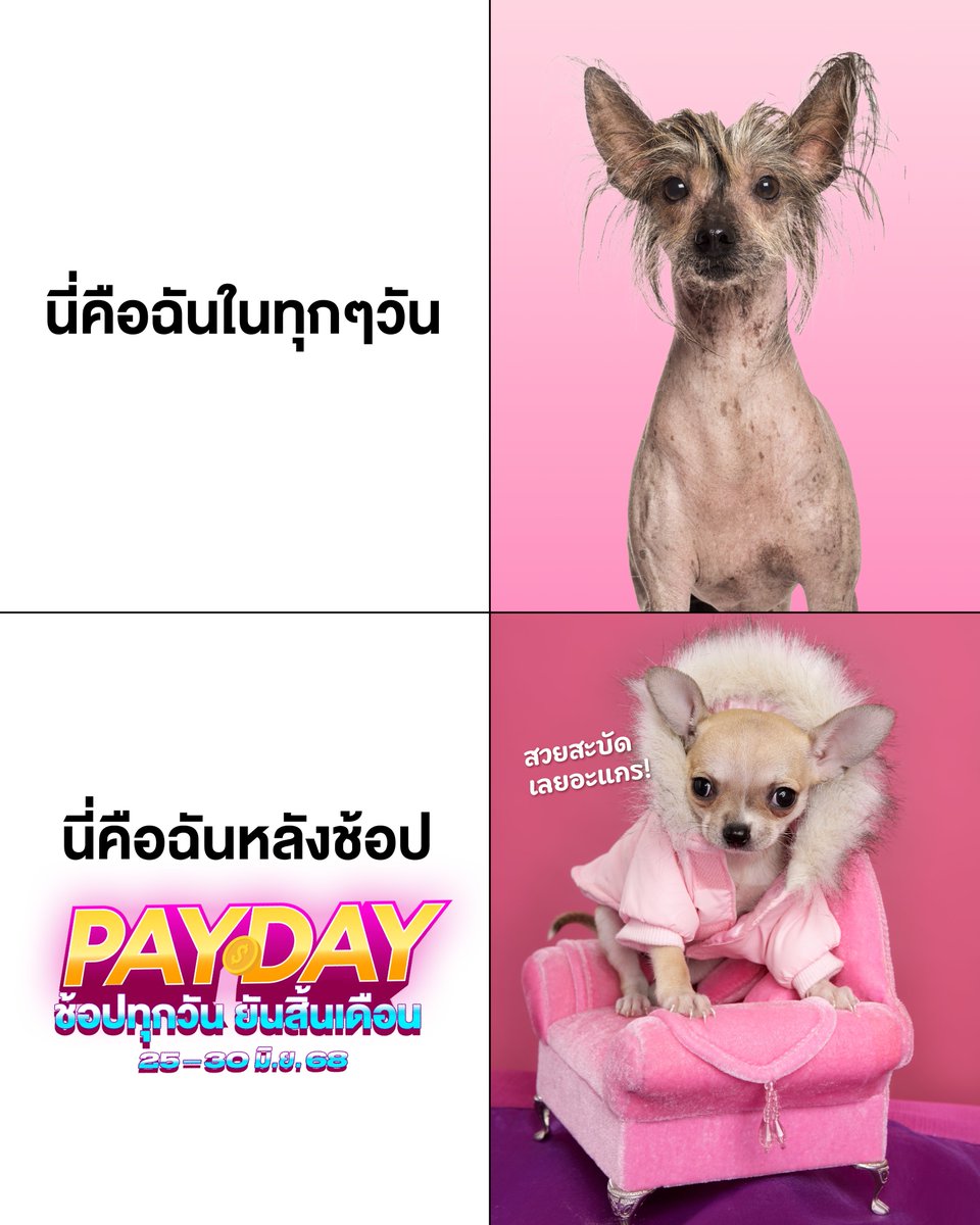 🤩 เปลี่ยนไป ในทางที่ดีขึ้น 
💸 สวยสะบัดไปพร้อมกัน กับ ลาซาด้า Payday ช้อปทุกวัน ยันสินเดือน
🎫 แจกคูปองทุกวันสูงสุด 3,100.-*
🏅 เช็คอินรับเหรียญประจำวันสูงสุด 70 เหรียญ
🎁 ดีลเด็ดรายวัน 1 แถม 1
📅 25 - 30 มิ.ย. นี้เท่านั้น!

ไปกดใส่รถเข็นกันเลยยย 📲 https://t.co/iU7jRU4Zl8

*เงื่อนไขเป็นไปตามที่บริษัทฯ กำหนด ดูรายละเอียดเพิ่มเติมได้ที่ลาซาด้าแอปพลิเคชั่น และ https://t.co/c9xFW5OpD7

#LazadaTH #LazadaPayday #Payday #ดีลช้อปทุกวันยันสิ้นเดือน