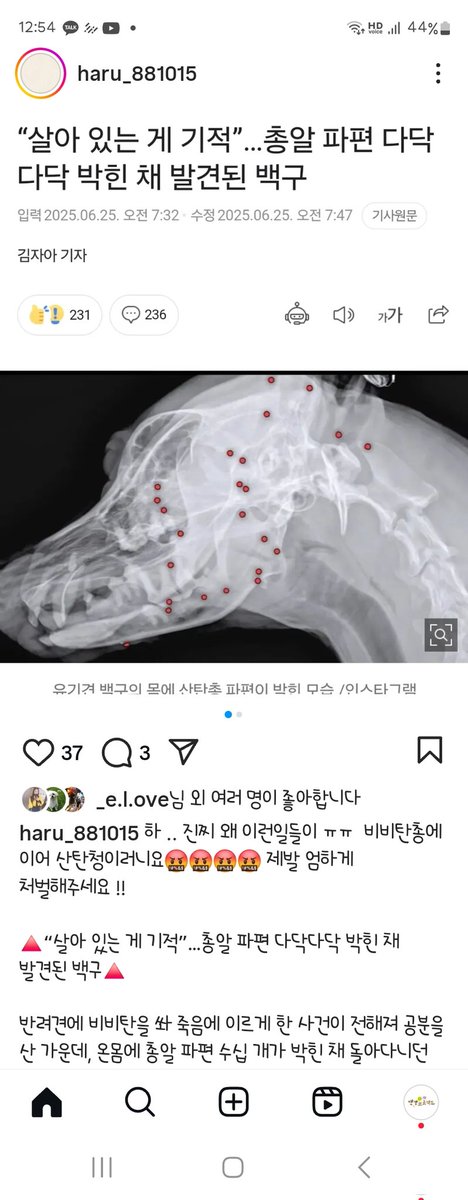 귀동이사건이. 이렇게 나오다니 ㅜ
우리귀동이ㅠ