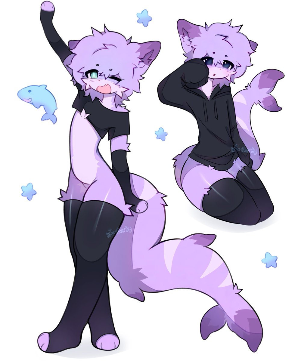 Mio 🐾 tweet media