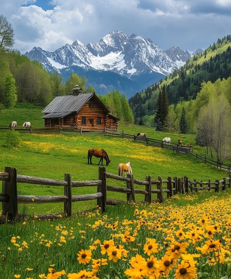 Nature_Views02's tweet image. So beautiful ❤️