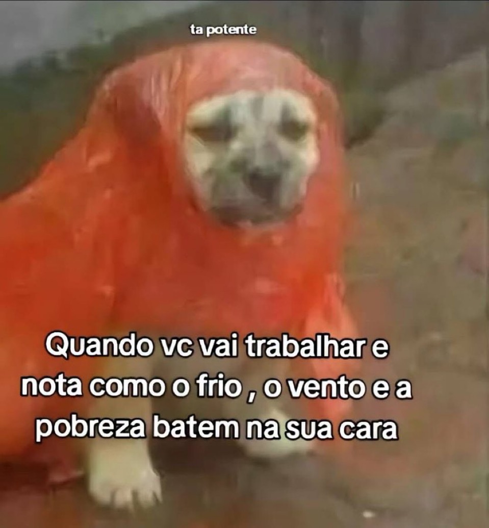 Trouxinha (@euovitinn) on Twitter photo 