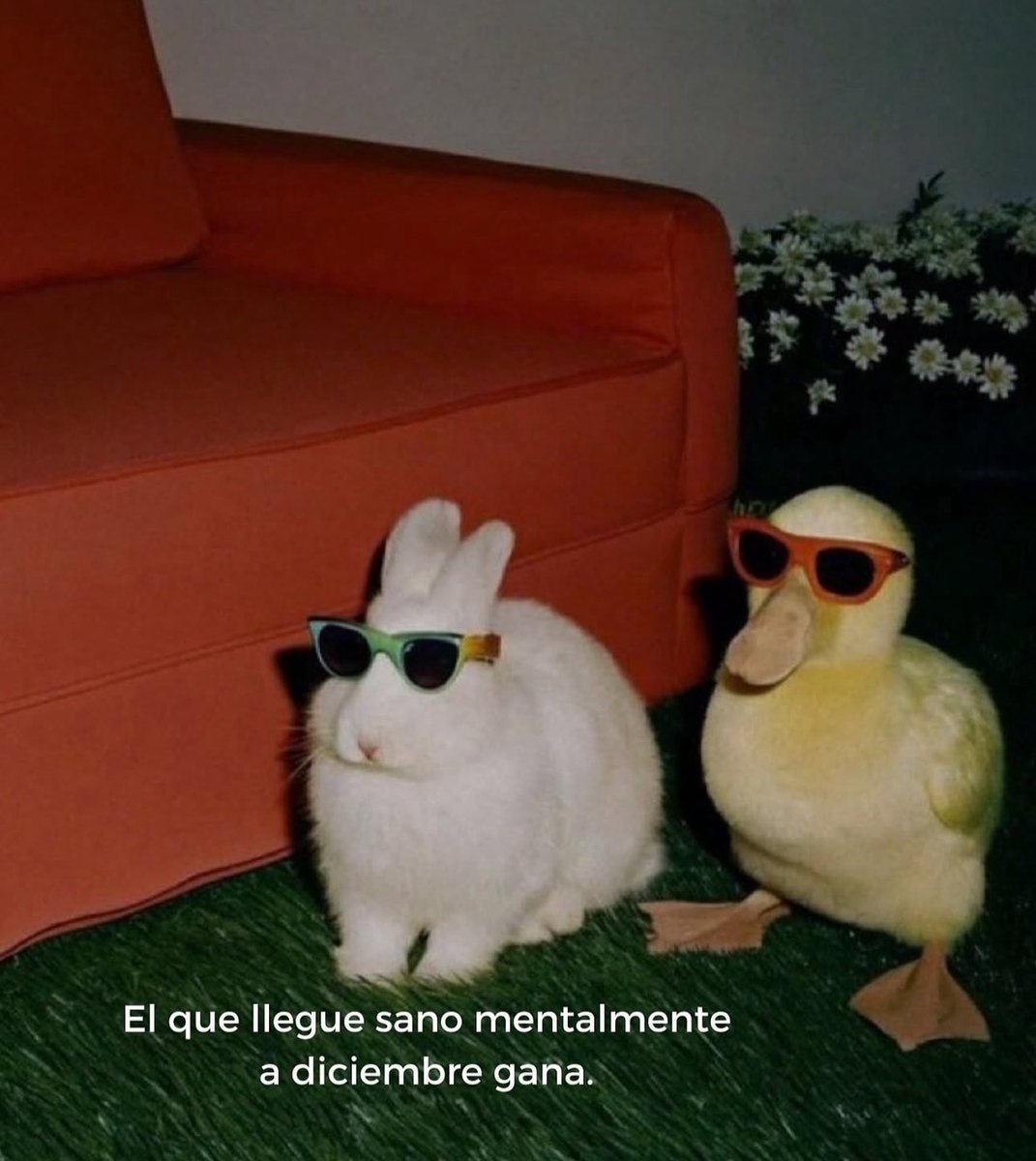 catorgaz's tweet photo. 🤞🏻🦚 https://t.co/2MGmxnoUaT