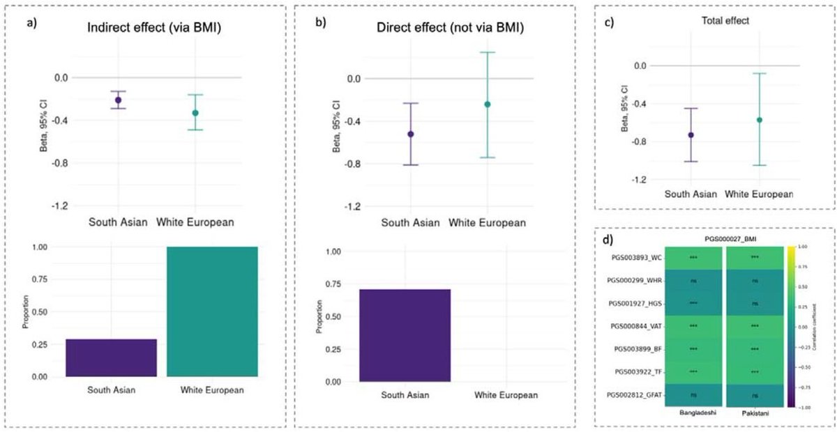 Interesting paper looking at the direct and indirect effects of polygenic score for BMI on age at onset of type 2 diabetes in South Asians vs Europeans. 

BMI completely (100%) explained the association between BMI PGS and T2D risk in Europeans, whereas in South Asians, it