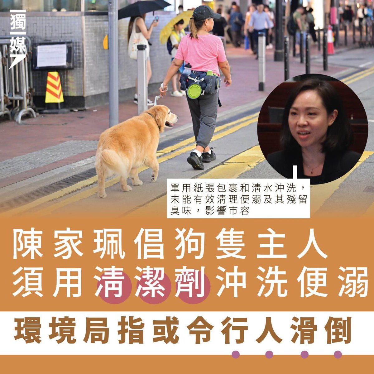 陳家珮倡狗隻主人須用清潔劑沖洗便溺 環境局指或令行人滑倒
bit.ly/4lmPmjS