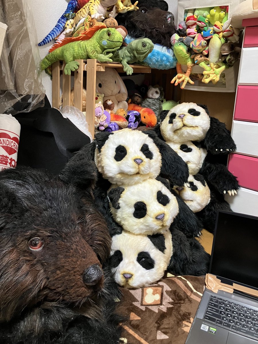 28歳異常独身女性の部屋