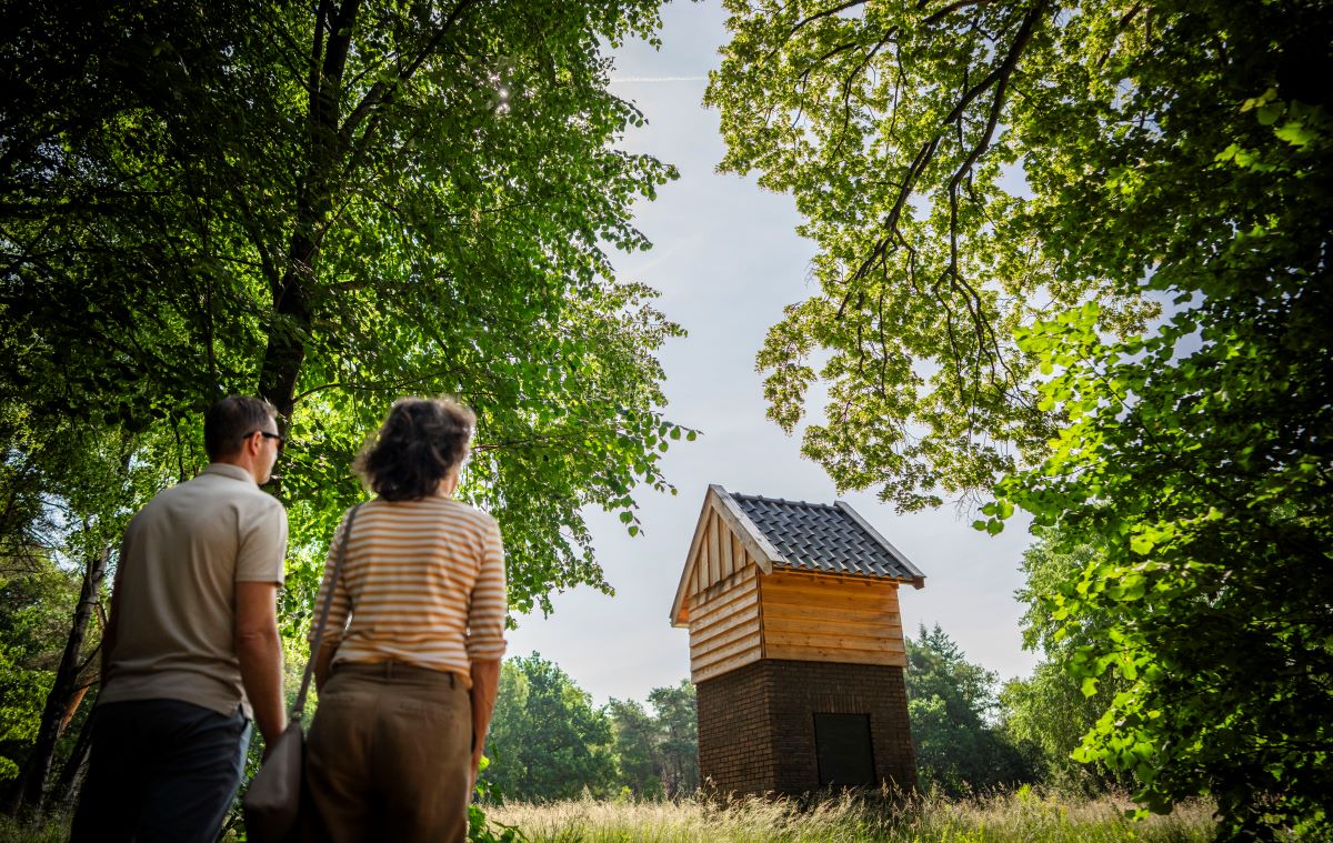 Kom naar de kijkmiddag Kamp van Zeist op woensdag 2 juli van 13.00-18.00 uur. Nu de sloop klaar is, neemt de natuur het over. Ontdek meer tijdens een wandeling met een ecoloog van Utrechts Landschap. Meer info op bit.ly/4kUvqoB