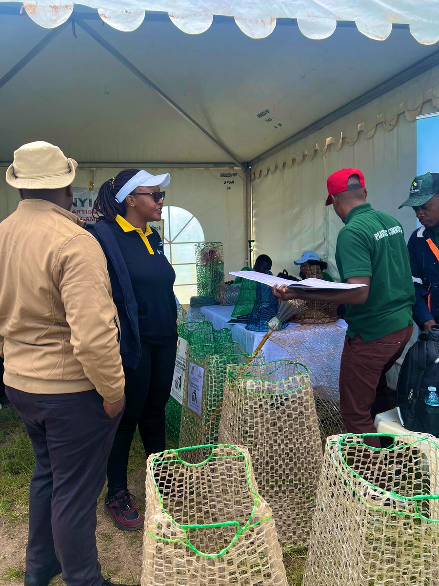 PAU_Uganda's tweet photo. The @PAU_Uganda joins the nation in commemorating #WorldEnvironmentDay2025 🌍
We’re live at Kigezi Primary School Playground, Kabale District, with several other govt and private agencies led by @nemaug and fellow stakeholders, under the theme: “United Against Plastic Pollution.”

The @PAU_Uganda reaffirms its commitment to ensuring that the petroleum sector is developed and managed in a sustainable manner so as to create lasting value.

#WED2025 #EndPlasticPollution #CreatingLastingValue