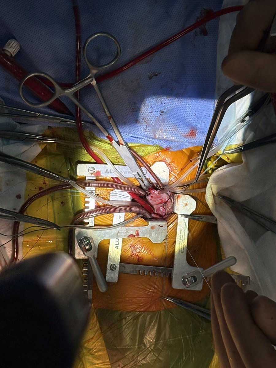 Dmytro Babliak, MD, PhD tweet media