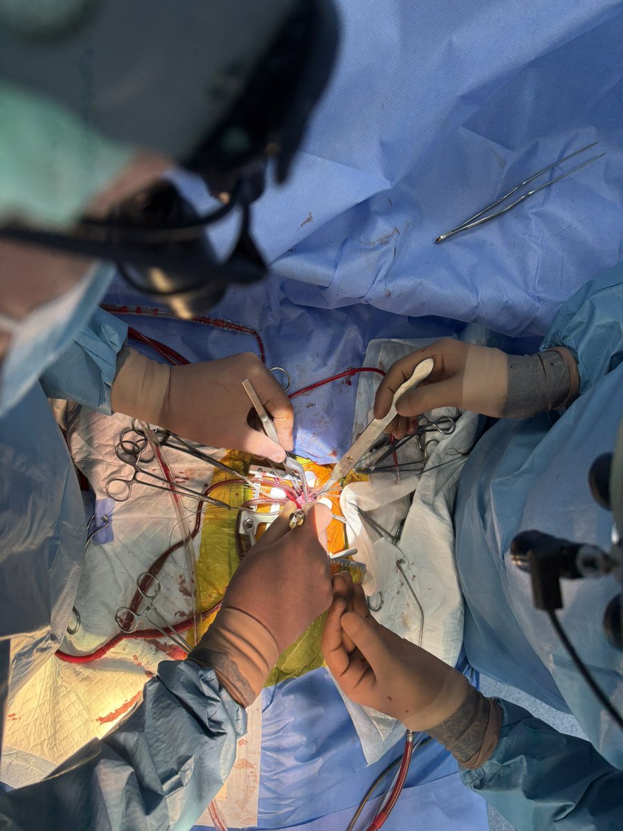 Dmytro Babliak, MD, PhD tweet media