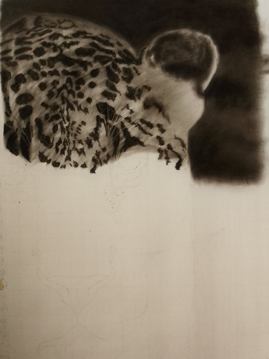 Chukwuemekad1st's tweet photo. π₯ Still cooking, but this leopard already bites.
β
For collectors, galleries, and lovers of fine wildlife artβthis is your sign.
DM for early access and reservations.
#ContemporaryArt #WildlifeIllustration #OriginalArtForSale #ArtInvestment #ArtCollectors #GlobalArt #FineArt https://t.co/WvbcXwGoSy