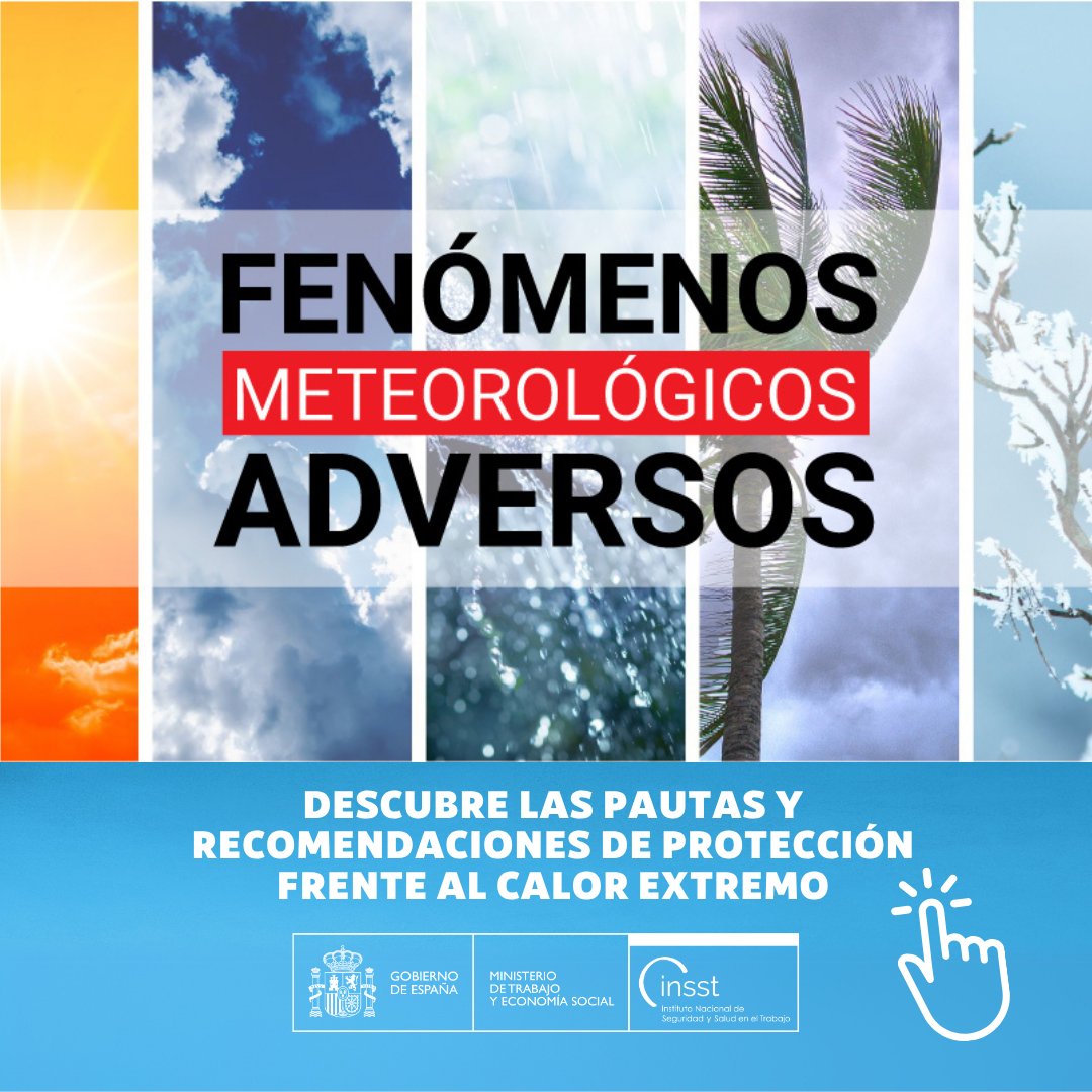 🥵 ¿Sabes cómo actuar ante una ola de calor en el trabajo?

✅ Conoce los riesgos, las medidas preventivas y los recursos para protegerte en el trabajo

Recuerda que cuando #ElClimaCambiaLaPRLManda

ℹ️ Infórmate aquí👉run.gob.es/pdjde0a2
#INSST #InformateYActua