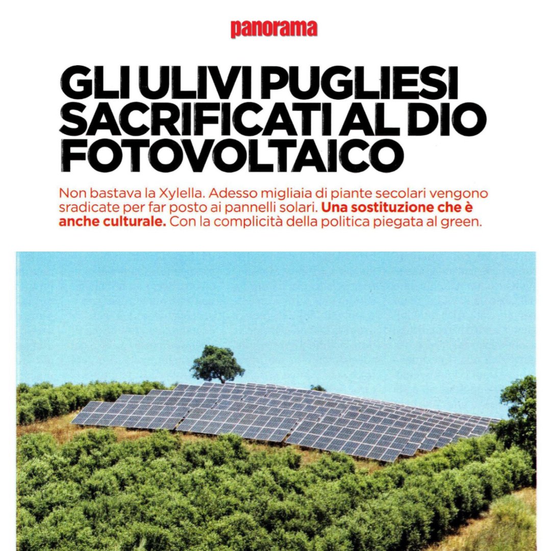 giamma71's tweet photo. Bravo @VenezianiMar su @panorama_it a denunciare quanto avviene in Puglia e in tante altre parti d'Italia, come dimostrano anche le mie interrogazioni parlamentari su Pavia e Lodi. Fotovoltaico e agrivoltaico stanno devastando i nostri campi in nome dell'ideologia green. https://t.co/ar0v36mVE3