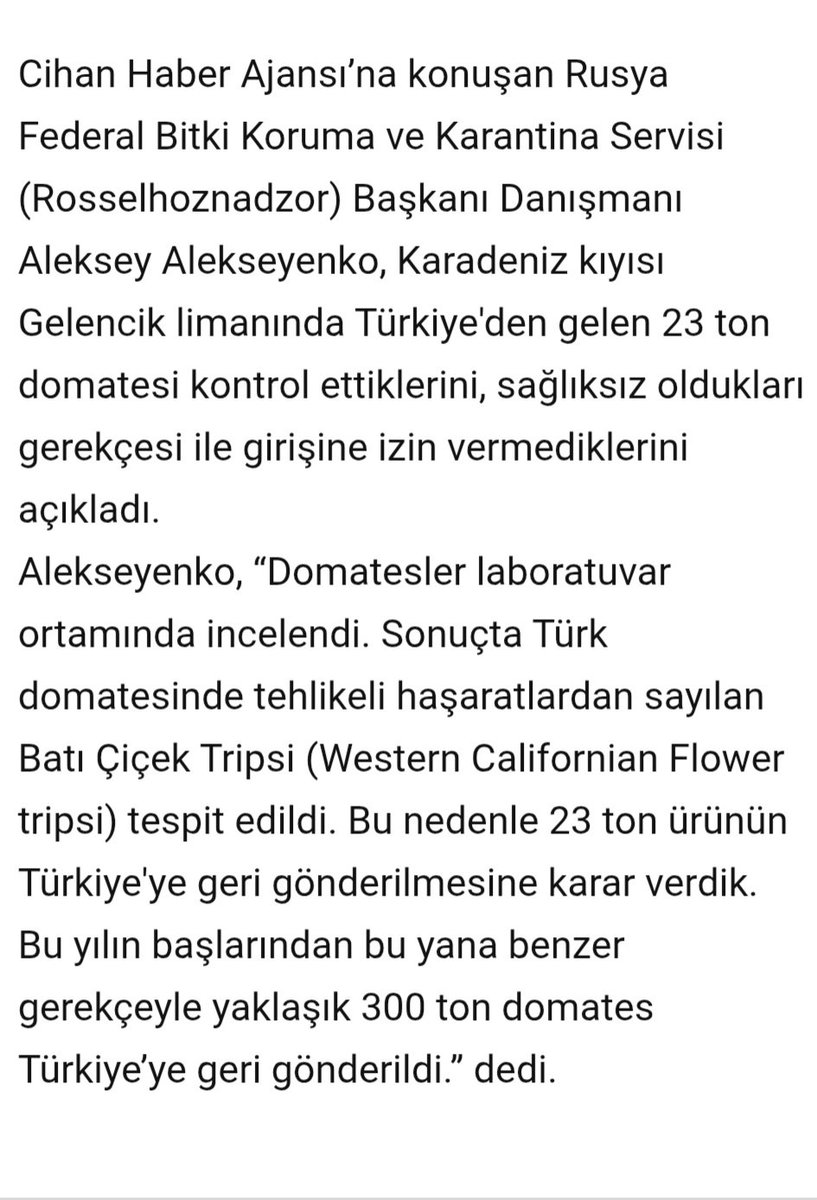 sonergns's tweet photo. @uluser Fiyatını bilmem ancak sağlığa zararlı domates satılmadığından eminim.
Bizim halimiz bu https://t.co/5xLZnVCVGE