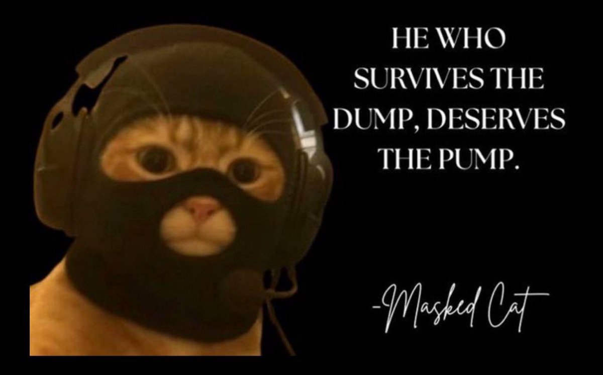 Don’t forget the fact that $MASK climbed while the whole market dipped.

I believe that $MASK is coin of this cycle.

Time to $MASK up. 🥷