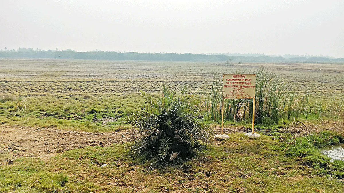 Andhra Nexus tweet media