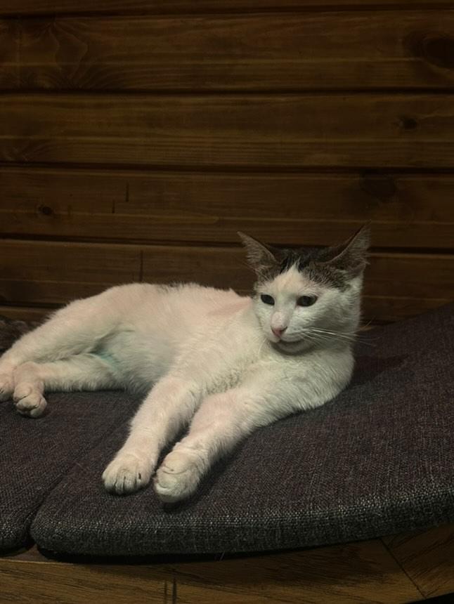 yks sıralamasının ne geleceğini düşünüyor