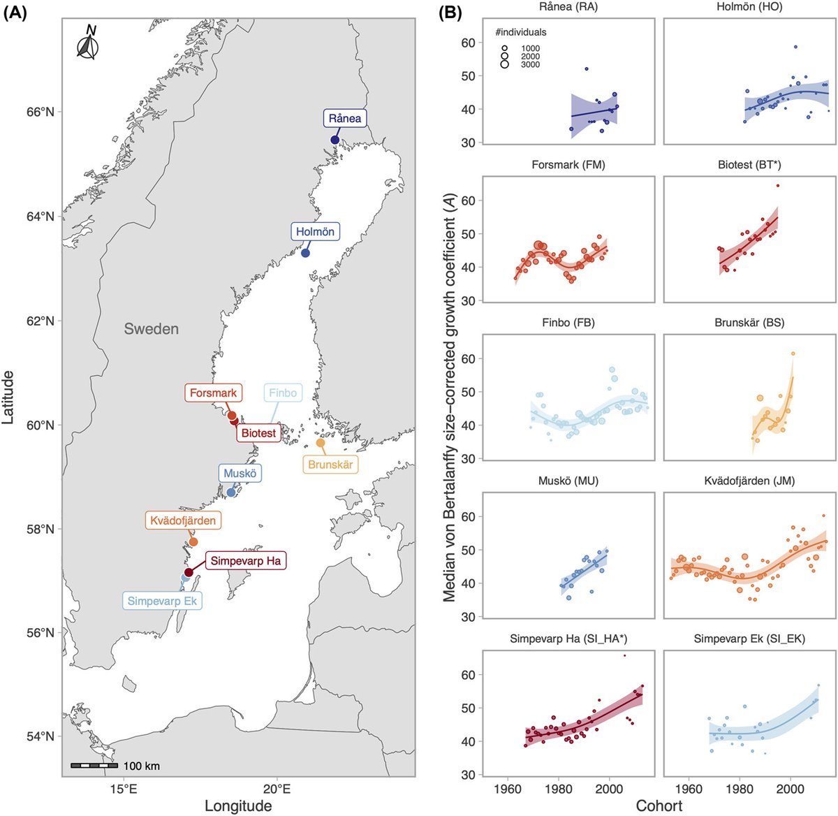 Stronger effect of temperature on body growth in cool than in warm populations suggests lack of local adaptation vist.ly/3n7ri6x #Fish #BodyGrowth #ClimateChange