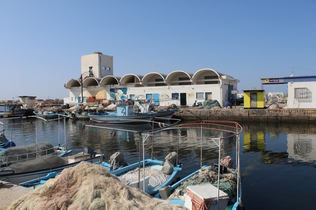 Nations unies Tunisie (@nutunisie) on Twitter photo Dans le cadre du projet "Soumoud", relevant du programme mondial RISE UP de l'<a href="/UNHabitatTun/">UN-Habitat Tunisia</a>, l'équipe de la municipalité de Kerkennah a accueilli une mission d’échange de la municipalité de Las Palmas (Espagne), afin de renforcer les capacités locales face aux défis climatiques. Dans le cadre du projet "Soumoud", relevant du programme mondial RISE UP de l'<a href="/UNHabitatTun/">UN-Habitat Tunisia</a>, l'équipe de la municipalité de Kerkennah a accueilli une mission d’échange de la municipalité de Las Palmas (Espagne), afin de renforcer les capacités locales face aux défis climatiques.