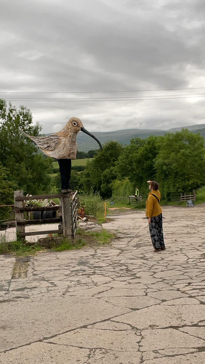 CarbonCallFarm's tweet image. Welcome to Day Two of Carbon Calling 2025!
Impressive female farmers, curlews, cheese, health, hedges and giving a f**ck about nature! We’re really excited to share the programme with everyone.
#regenag #farmingfornature #cumbria #carboncalling25