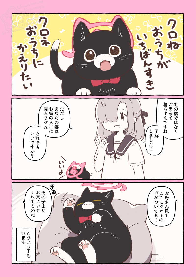 とある猫と天国の面接 | しらほし卯乃@単行本発売中🌻🐹 さんのマンガ