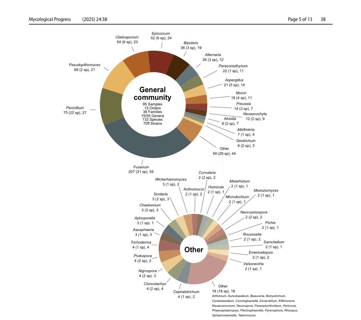 Claudette Dewing tweet media