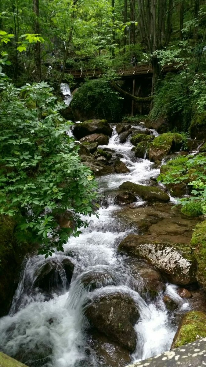 Ariel Hand (@adajahhand) on Twitter photo May the dreams you hold dearest
be those that come true,
and the kindness you spread
keep returning to you!!
Good morning, Brethrens!!๐ค
It's Wellness Wednesday!!
Have the most amazing day!!๐โฎ๏ธ๐
๐๏ธ๐๐ฆโ๏ธ May the dreams you hold dearest
be those that come true,
and the kindness you spread
keep returning to you!!
Good morning, Brethrens!!๐ค
It's Wellness Wednesday!!
Have the most amazing day!!๐โฎ๏ธ๐
๐๏ธ๐๐ฆโ๏ธ