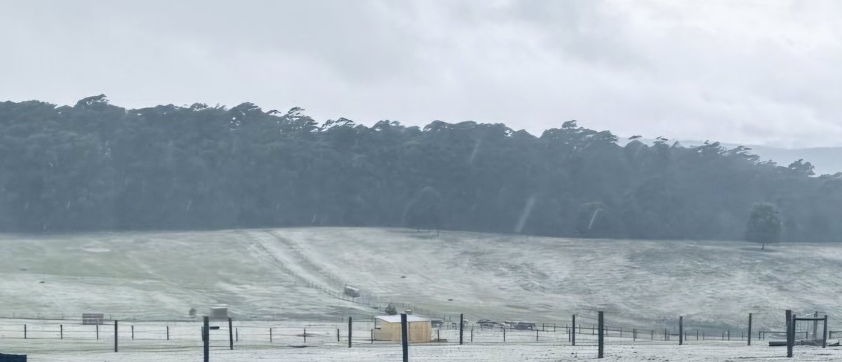 AntBA013's tweet image. A fine winters day at the farm...