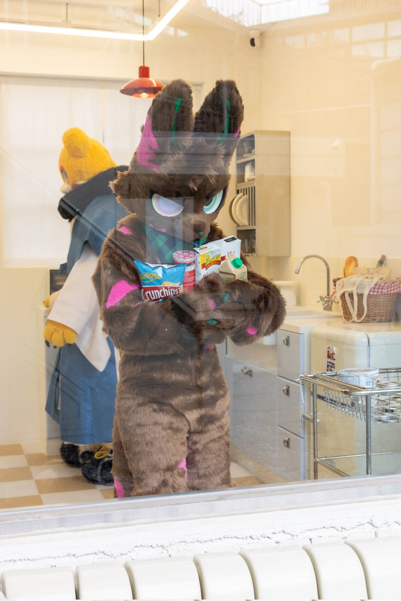 과자랑 프링글스랑... 아~ 모르겠다! 다 챙겨야지
📸 <a href="/Kylier_K/">카일리어</a>
#Fursuit #FursuitEveryday #LimeRyan #오즈스튜디오