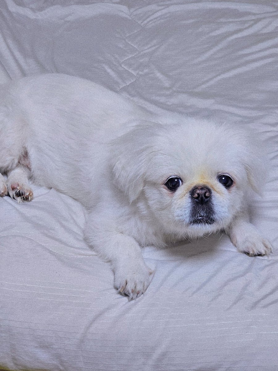 🍒🍒🍒 tweet media