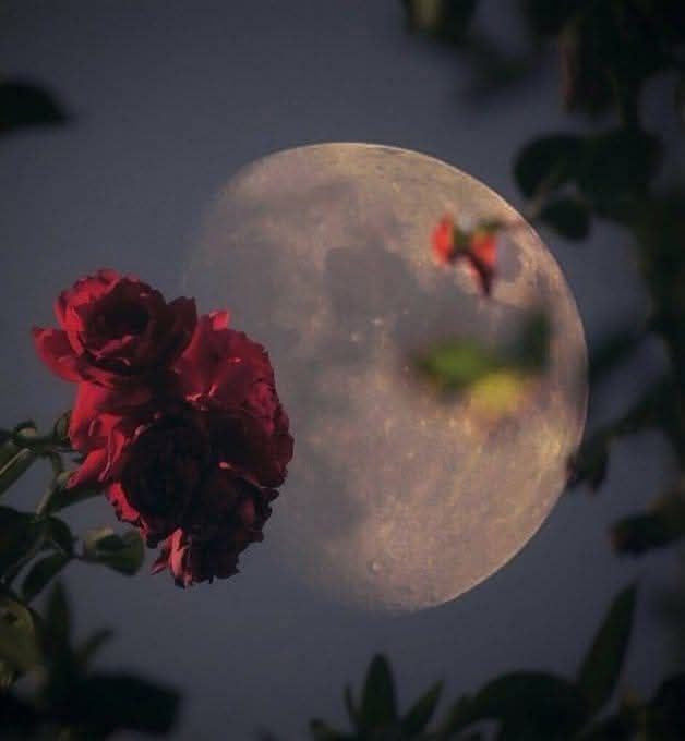 İman etmek istemeyen ayın yarılmasını görse de iman etmez. İman etmek isteyene bir çocuğun diş çıkarması çok şey söyler.